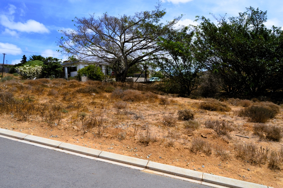 0 Bedroom Property for Sale in Steenbergs Cove Western Cape